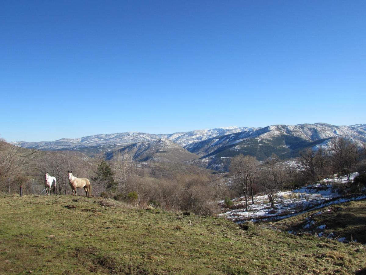 Atardecer En Gredos 1 Villa San Bartolomé de Tormes Eksteriør billede